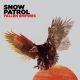 دانلود آلبوم Snow Patrol – Fallen Empires