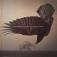 دانلود آلبوم Katatonia – The Fall Of Hearts