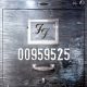 دانلود آلبوم Foo Fighters – 00959525