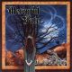 دانلود آلبوم Mercyful Fate – In The Shadows