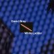 دانلود آلبوم David Gray – White Ladder (20th Anniversary Edition)