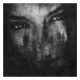 دانلود آلبوم Lustre – The Ashes of Light