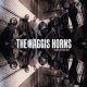دانلود آلبوم The Haggis Horns – Stand Up For Love
