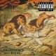 دانلود آلبوم Zac Brown – The Controversy