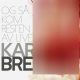 دانلود آلبوم Kari Bremnes – Og sa kom resten av livet (24Bit Stereo)