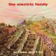 دانلود آلبوم The Electric Family – Echoes Don’t Lie