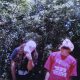 دانلود آلبوم Suicideboy$ – High Tide in the Snake’s Nest