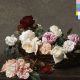 دانلود آلبوم New Order – Power Corruption and Lies (Definitive)