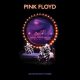 دانلود آلبوم Pink Floyd – Delicate Sound of Thunder (2019 Remix) (Live)