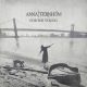 دانلود آلبوم Anna Ternheim – For The Young