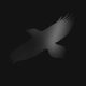 دانلود آلبوم Sigur Ros – Odin’s Raven Magic