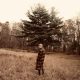 دانلود آلبوم Taylor Swift – willow (the witch collection)