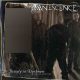 دانلود آلبوم Evanescence – Beauty In Darkness-B-Sides & Rarities