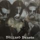 دانلود آلبوم Immortal – Blizzard Beasts (24Bit Vinyl)