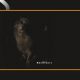 دانلود آلبوم Lambchop – Showtunes (24Bit Stereo)