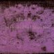 دانلود آلبوم Mazzy Star – So Tonight That I Might See