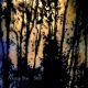 دانلود آلبوم Mazzy Star – Still EP