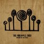 دانلود آلبوم The Pineapple Thief – Nothing But The Truth