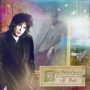 دانلود آلبوم The Waterboys – An Appointment With Mr Yeats