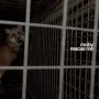 دانلود آلبوم Moby – Rescue Me