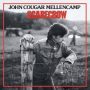 دانلود آلبوم John Mellencamp – Scarecrow (Deluxe Edition 2022 Mix)