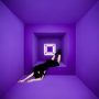 دانلود آلبوم Olivia Jean – Raving Ghost (24Bit Stereo)