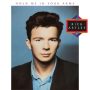دانلود آلبوم Rick Astley – Hold Me in Your Arms (2023 Remaster) (24Bit Stereo)