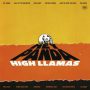 دانلود آلبوم The High Llamas – Hey Panda (24Bit Stereo)