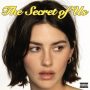 دانلود آلبوم Gracie Abrams – The Secret of Us (24Bit Stereo)